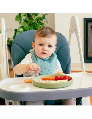 Pack 2 Baberos Bandana 20X30 Cms...