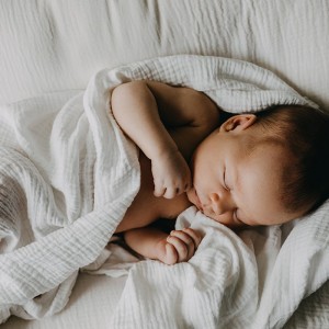 Gasas, Muselinas y Dou Dou